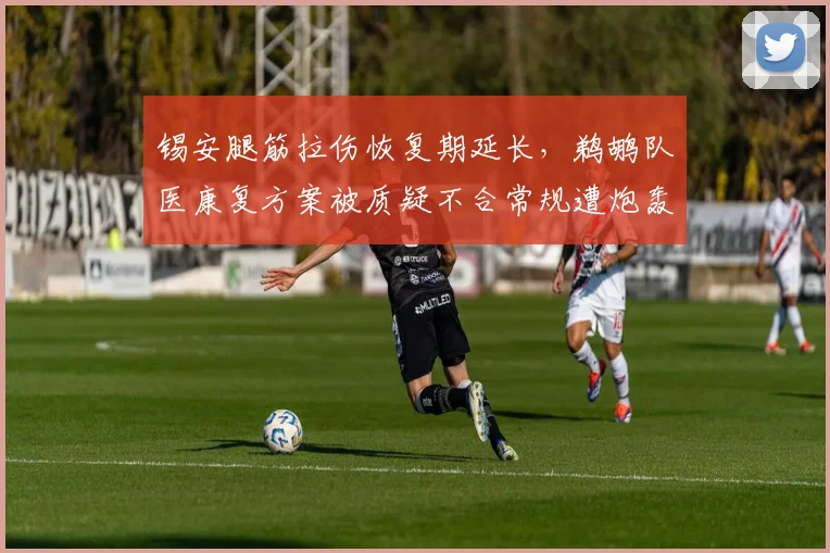锡安腿筋拉伤恢复期延长，鹈鹕队医康复方案被质疑不合常规遭炮轰